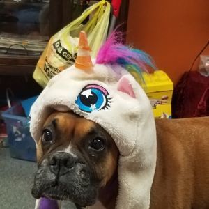 Meet your Posher, Debbie